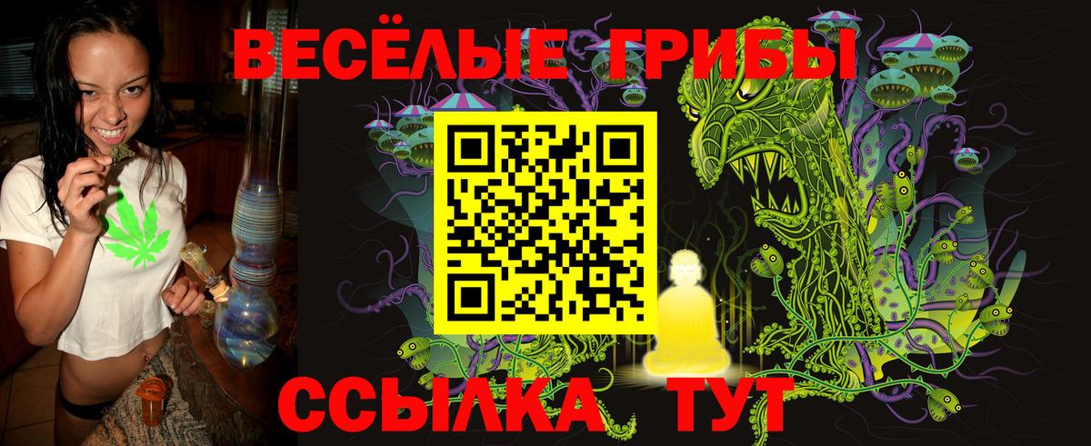 Псилоцибиновые грибы прущие грибы  Псилоцибиновые грибы ЛСД  что такое   Вход с VPN  Рыбинск 